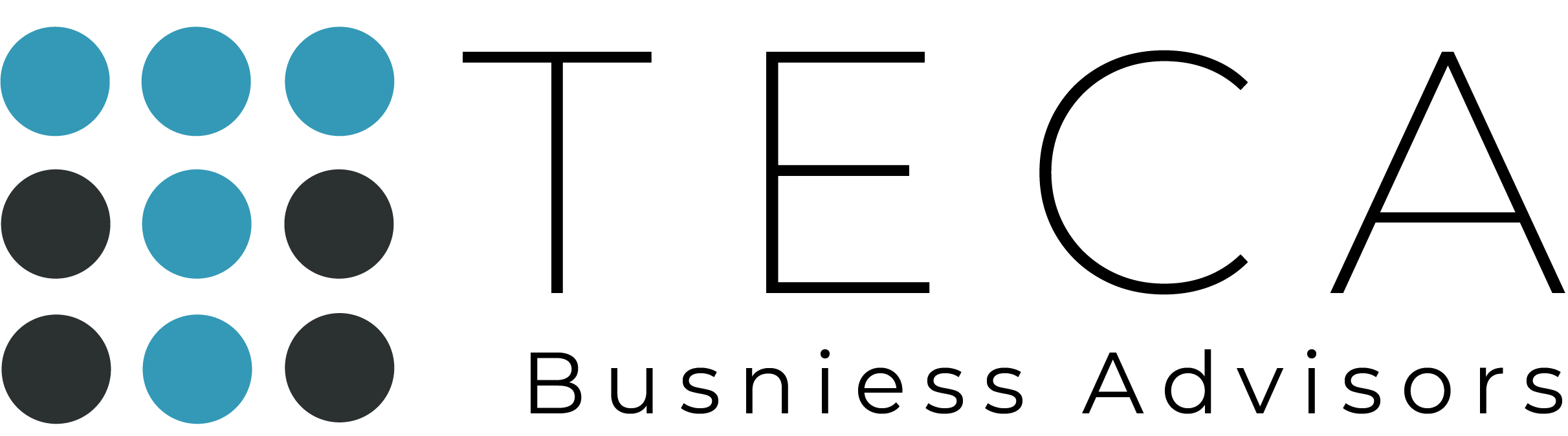 Teca business advisors